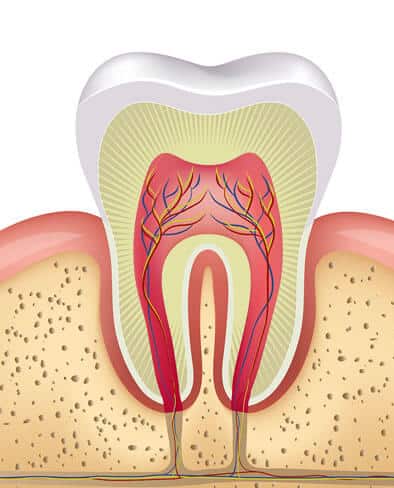 Root Canals Treatment